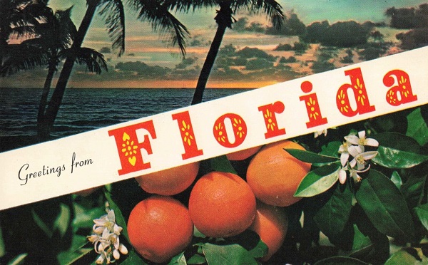 Oranges Postcard