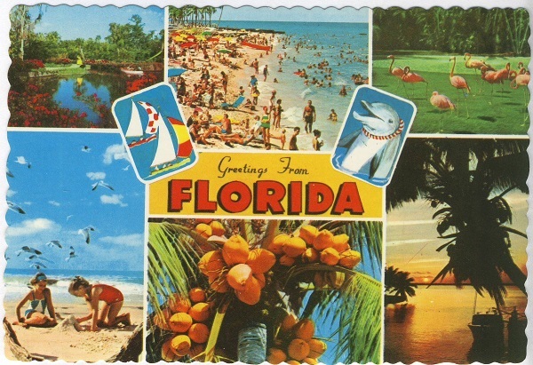Greetings from Florida Dexter Press Postcard